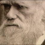 I’m a Direct Descendant of Darwin…and a Catholic
